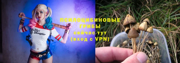 a pvp Бородино
