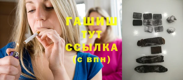 a pvp Бородино