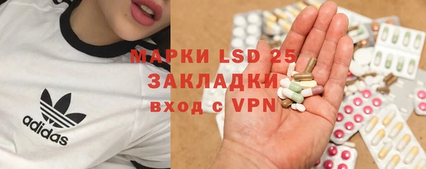 a pvp Бородино