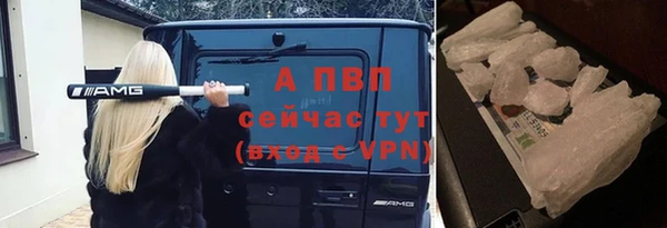 a pvp Бородино