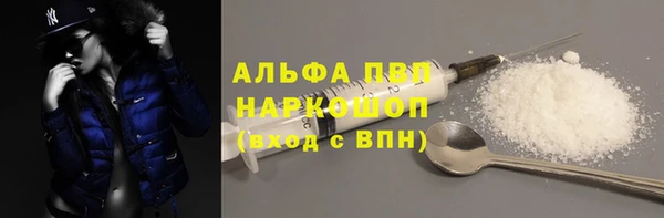 a pvp Бородино