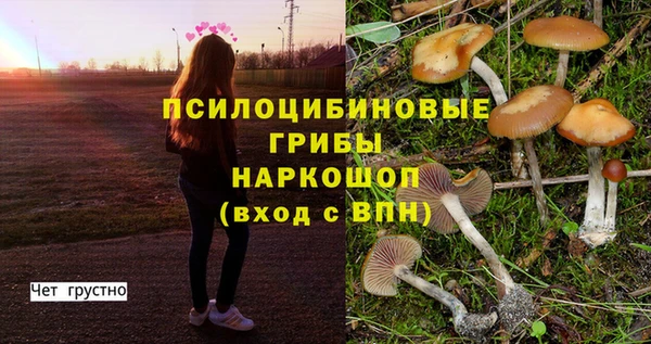не бодяженный Верхний Тагил