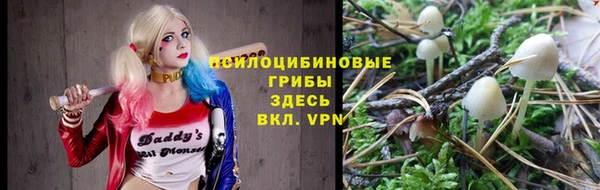 мяу мяу мука Сатка