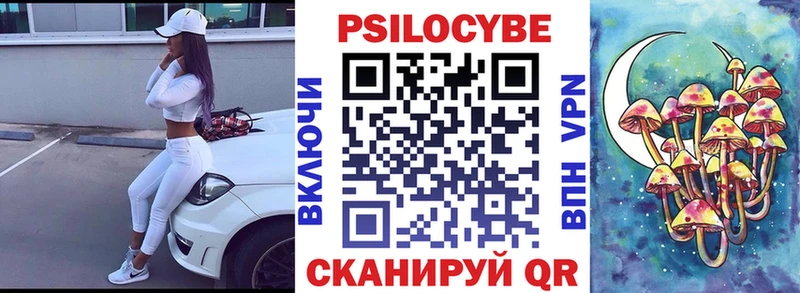 купить  сайты  Кингисепп  Псилоцибиновые грибы Psilocybine cubensis 