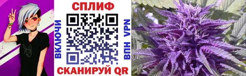 где найти   Кингисепп  Конопля ГИДРОПОН 